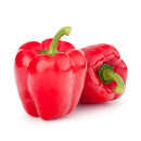 capsicum