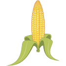 corn