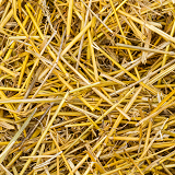 straw