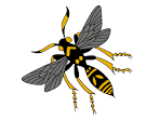 wasp