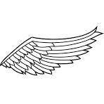 wing