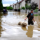 banjir