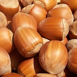 nocciola