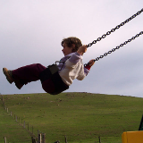 swing