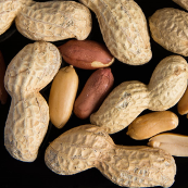 peanut