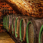 cellar