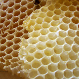 wax