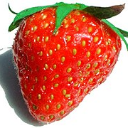 strawberry