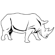 rhinoceros