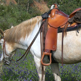 saddle