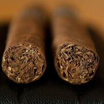 tobacco