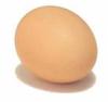 un uovo