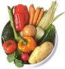 o vegetal