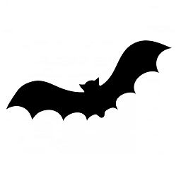 chauve-souris